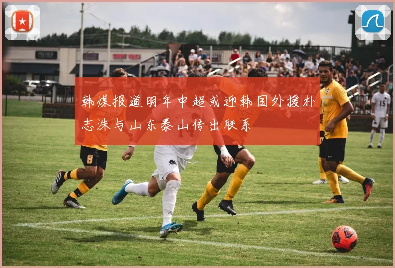 韩媒报道明年中超或迎韩国外援朴志洙与山东泰山传出联系