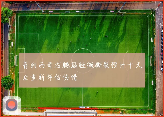 普利西奇右腿筋轻微撕裂预计十天后重新评估伤情